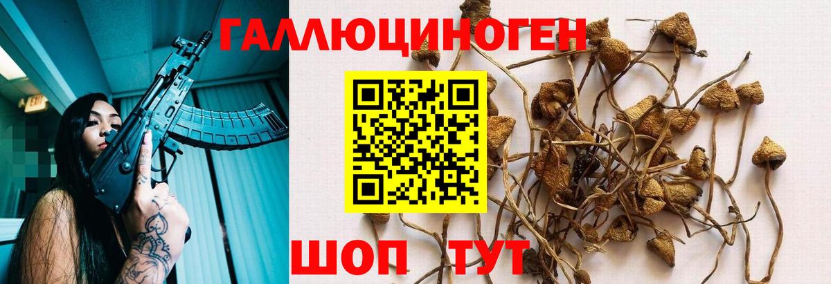 Галлюциногенные грибы Magic Shrooms  цены   Галлюциногенные грибы GOLDEN TEACHER  Глазов  Вход с VPN 