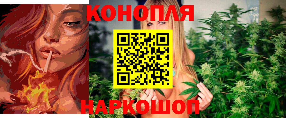 Марихуана гибрид Глазов