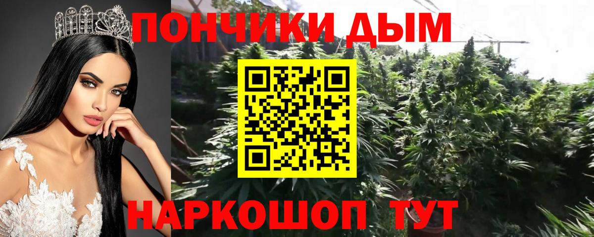 Конопля сатива  Вход с VPN  Бошки Шишки Amnesia  Каннабис Bruce Banner  Глазов 